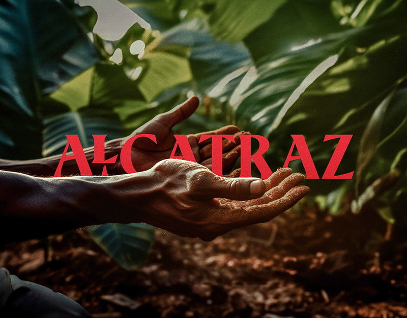 Redmi Note 15 Pro 5G выпустили в Европе